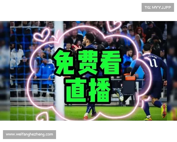 英超转播权竞标战激烈 多家平台争夺全球独家直播资源 英超转播权竞标战激烈 多家平台争夺全球独家直播资源