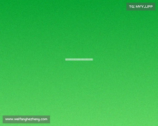 核心战术驱动下的团队协作与战略执行模式探讨